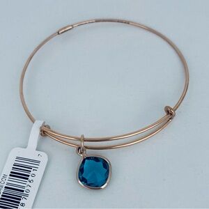 NWT ALEX AND ANI®️ Precious + ENERGY (+) COLOR™
#00128 Gold Wire Bangle Bracelet